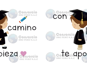 Diseño Promo 20