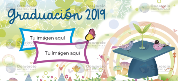 Diseño Promo 29